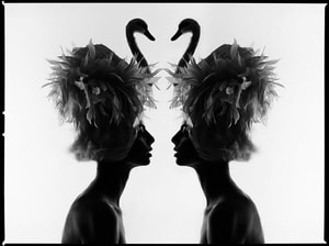 Tyler Shields - The Two Swans