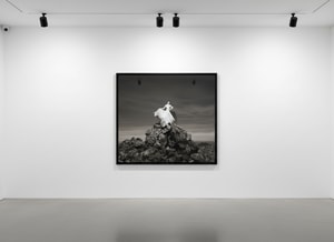 Tyler Shields - Top of the World