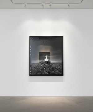 Tyler Shields - Top of the World II