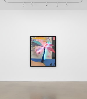 Vincent Chung - Lavender and Velvet