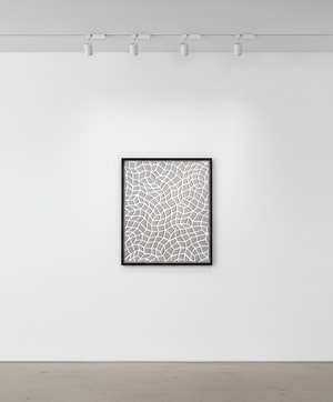 Yayoi Kusama - Infinity Nets 1989