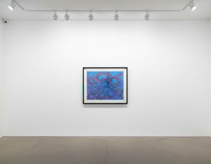 Yayoi Kusama - Petals are Soaring into the Air