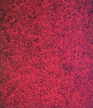 Yayoi Kusama - Rain in the Evening Glow
