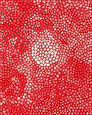 Yayoi Kusama - Sunlights