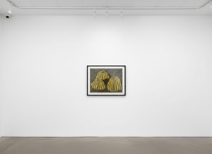 Yayoi Kusama - Three Pumpkins