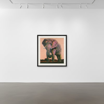 Andy Warhol F.S. II 293