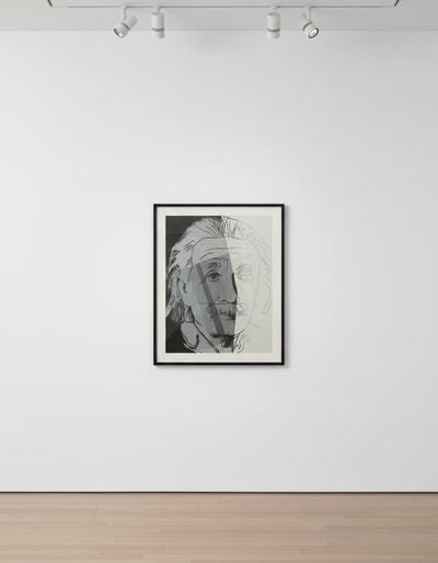Andy Warhol F.S. II 229