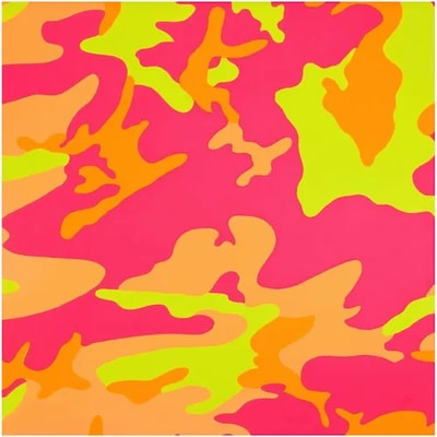 Andy Warhol F.S. II 409
