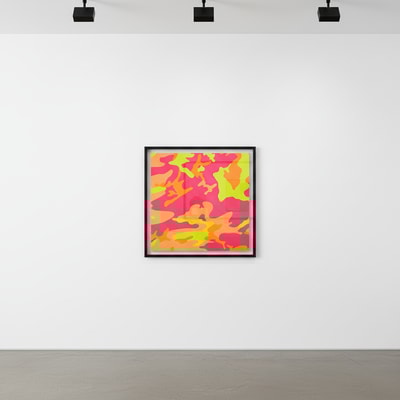 Andy Warhol - Camouflage F.S. II 409, 1987
