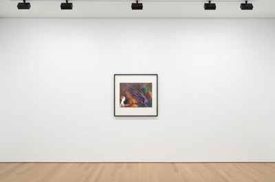 Andy Warhol F.S. II 326