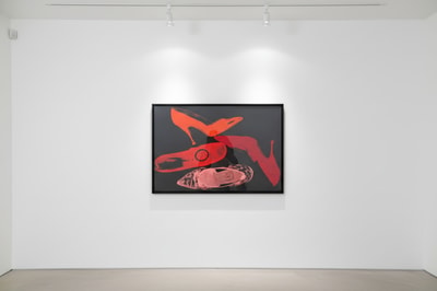 Andy Warhol F.S. II 255