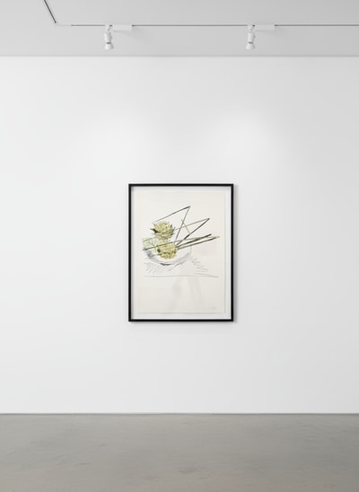 Andy Warhol F.S. II 116