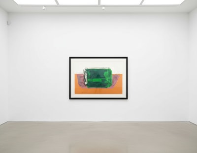 Andy Warhol F.S. II 188