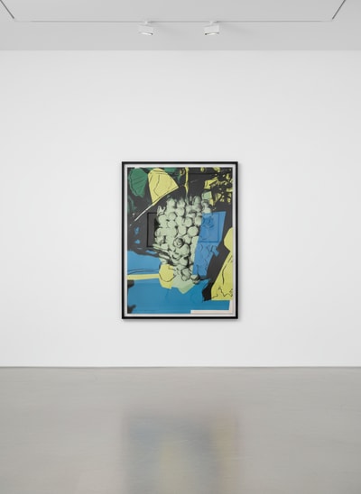 Andy Warhol F.S. II 193