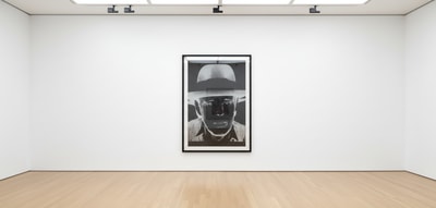 Andy Warhol F.S. II 245
