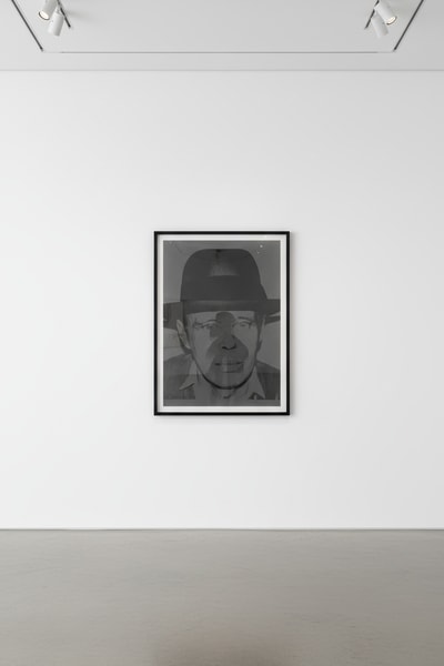 Andy Warhol F.S. II 246