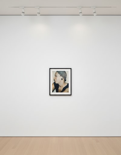 Andy Warhol - Ladies and Gentlemen (Wilhelmina Ross), 1974