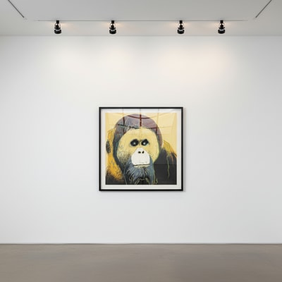 Andy Warhol - Orangutan F.S. II 299, 1983