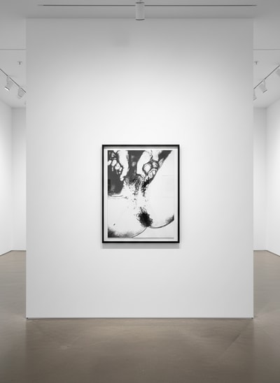 Andy Warhol F.S. II 175