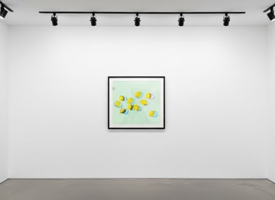 Andy Warhol F.S. II 196