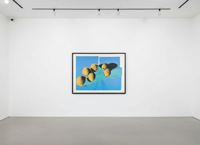 Andy Warhol F.S. II 201