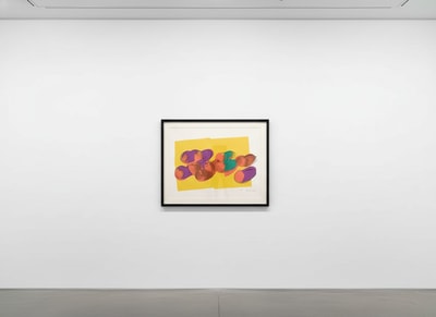 Andy Warhol F.S. II 202