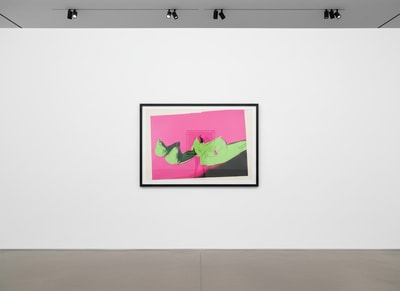 Andy Warhol F.S. II 203
