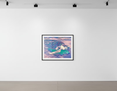 Andy Warhol - Turtle F.S. II 360A, 1985
