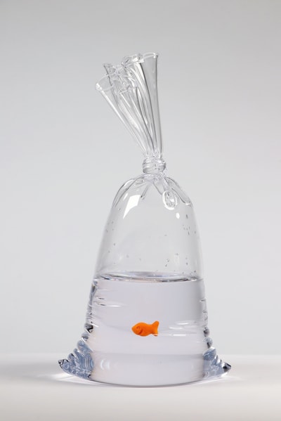 Dylan Martinez - Limited Edition Goldfish Cracker Water Bag (203), 2023