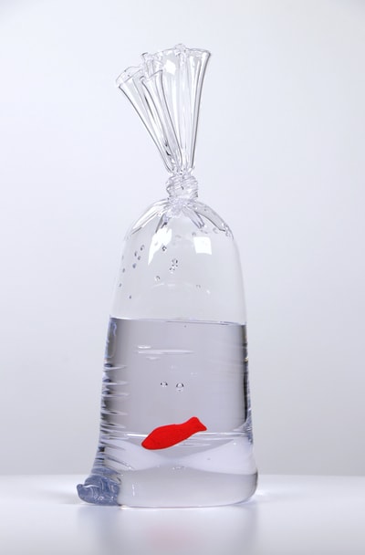 Dylan Martinez - Swedish Fish No. 77, 2026