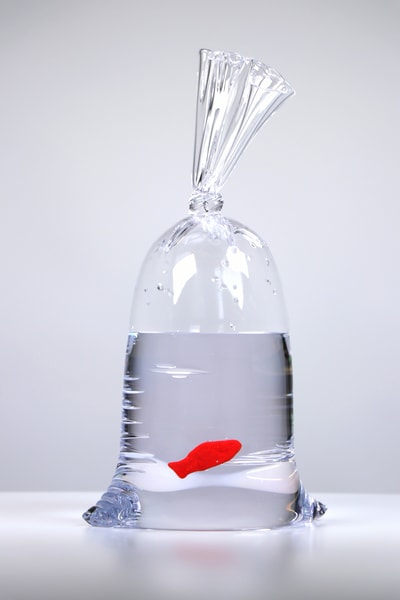 Dylan Martinez - Swedish Fish No. 80, 2026