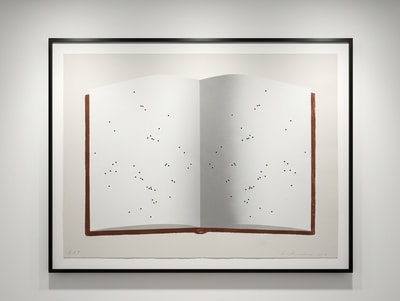 Ed Ruscha - Open Book With Worm Holes, 2012