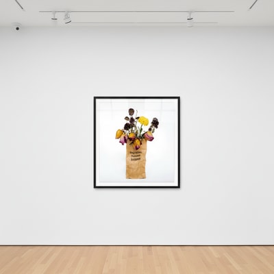 Jeffrey Czum - Emotional Baggage, 2024