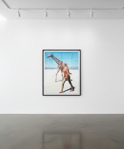 Michel Comte - Beauty and the Beast (Giraffe Color)