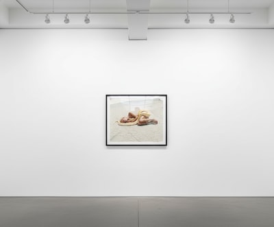 Michel Comte - Beauty and the Beast (Snake)