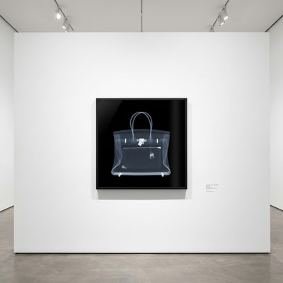 Nick Veasey - Hermes Birkin Bag