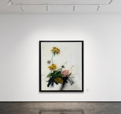 Sage Barnes - Study #1, 2024