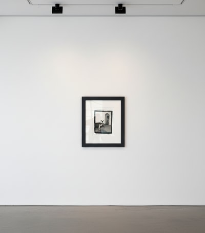 Tyler Shields - Bunnies in 58