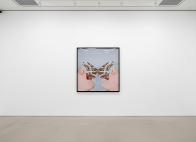 Tyler Shields - Butterfly, 2018