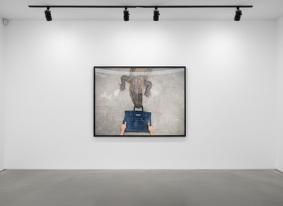 Tyler Shields - Gator Birkin (B&W), 2012/2022