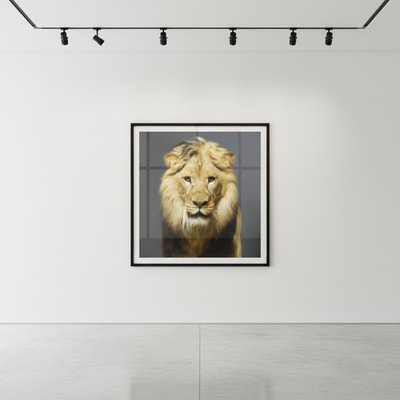 Tyler Shields - Luke, 2018