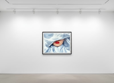 Silk Lips
