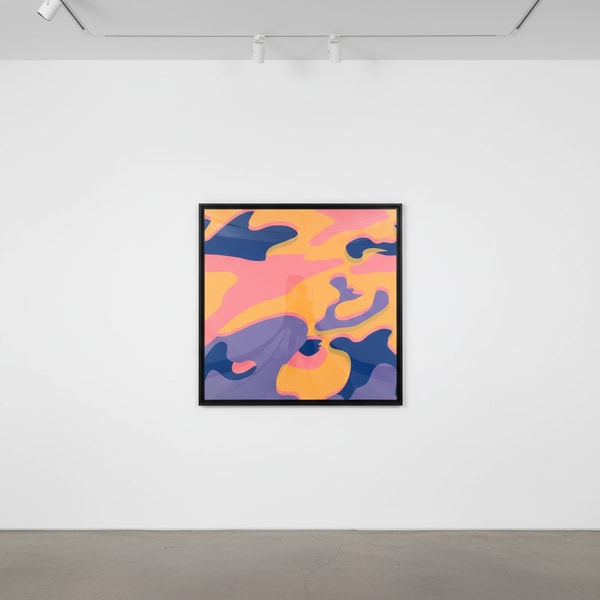 Andy Warhol - Camouflage F.S. II 410, 1987