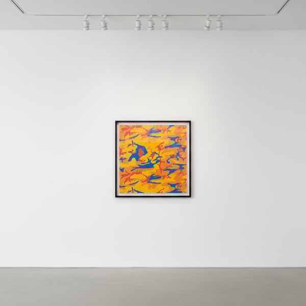 Camouflage Trial Proof TP 4/84