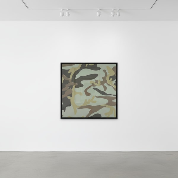 Camouflage Trial Proof TP 53/84