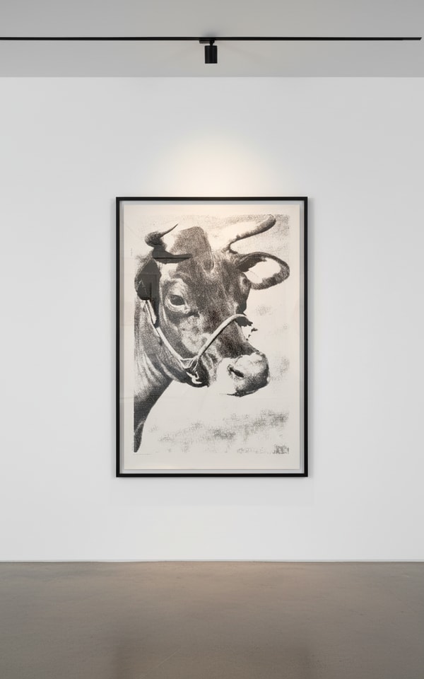 Andy Warhol - Cow Wallpaper F.S. IIIA 11, 1978, Screen Print on Curtis Rag Paper