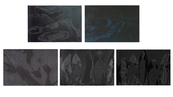 Andy Warhol - Diamond Dust Shoes Complete Portfolio (F.S. II 248 - 252), (Deluxe Edition), 1980
