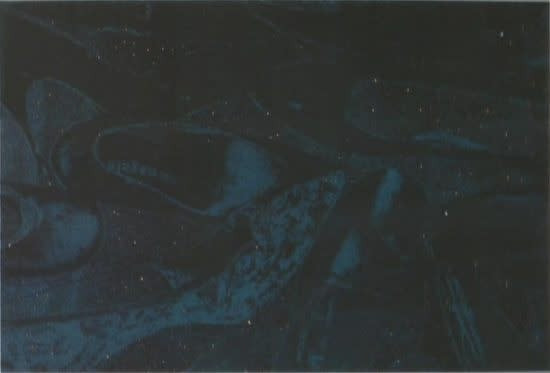 Andy Warhol - Diamond Dust Shoes F.S. II 249 (Deluxe Edition), 1980