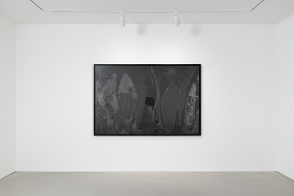 Andy Warhol - Diamond Dust Shoes F.S. II 251 (Deluxe Edition), 1980