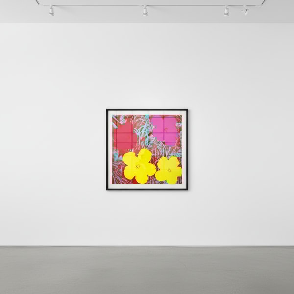 Andy Warhol - Flowers F.S. II 71, 1970, Screen print